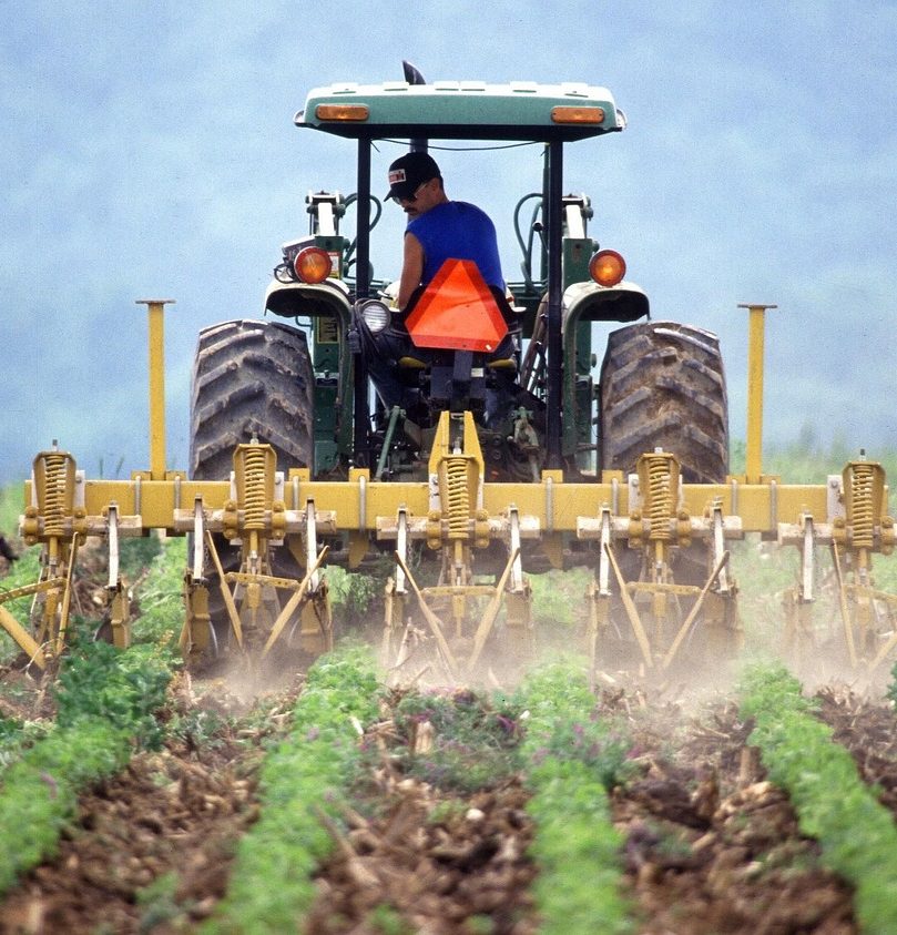 Farmer American farm worker harvesting crops.